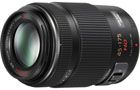 Panasonic 45-175mm f4.0-5.6 Lumix G X Vario Lens