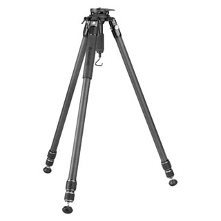 Compare Prices on the Vanguard Alta Pro 3VRL 303CT Video Tripod