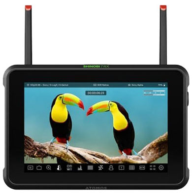 Compare Prices on the Atomos Shinobi 7 RX
