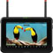 Atomos Shinobi 7 RX best UK price