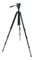 Celestron Trailseeker Tripod With Fluid Head best UK price