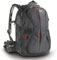 Kata Bumblebee PL-220 Backpack best UK price